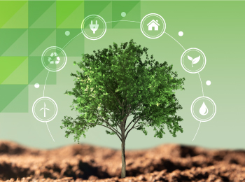 再生可能エネルギー100%相当への切り替え