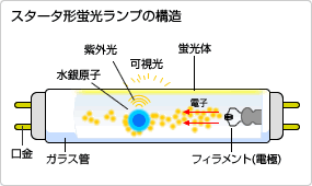 スタータ形蛍光ランプの構造